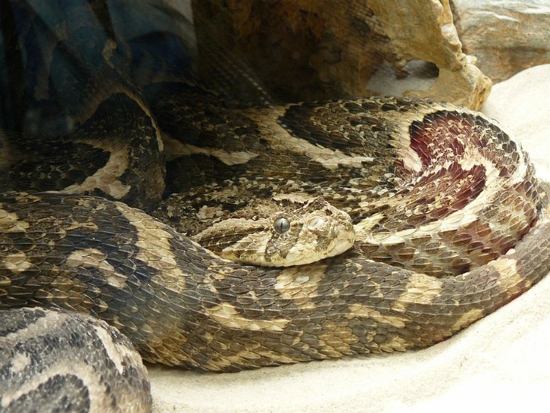 2008 05 Séjour à Martel 82